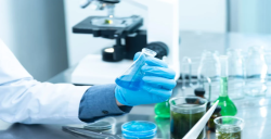亚马逊要求的ISO 17025认可的实验室是什么？