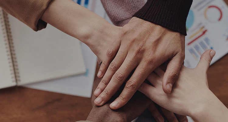 ��ҳ| 402cc���������й����ٷ���վ