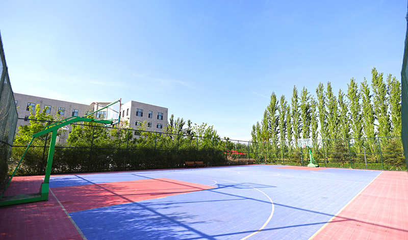 66a3fe2201f20532100f9ec5557d1a52